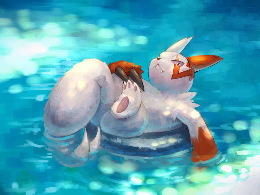 afloat claws closed_mouth commentary_request fangs fangs_out gen_3_pokemon kikuyoshi_(tracco) looking_at_viewer lying no_humans on_back pokemon pokemon_(creature) solo water white_fur zangoose