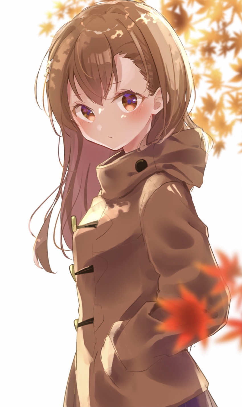 1girl autumn_leaves bangs blurry blurry_background blurry_foreground blush brown_coat brown_eyes brown_hair closed_mouth coat depth_of_field eyebrows_visible_through_hair hair_between_eyes hand_in_pocket highres himaneko. leaf long_hair long_sleeves looking_at_viewer looking_to_the_side maple_leaf misaka_mikoto simple_background solo to_aru_kagaku_no_railgun to_aru_majutsu_no_index white_background