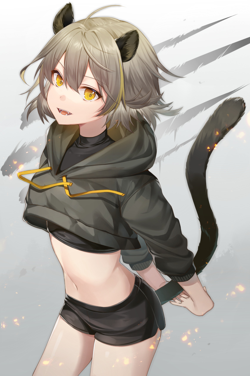 1girl :d absurdres ahoge animal_ears arms_behind_back black_shirt black_shorts contrapposto cowboy_shot crop_top crop_top_overhang dolphin_shorts drawstring fangs gradient gradient_background grey_background grey_hair grey_hoodie hair_between_eyes highres hood hood_down hoodie ion_(on01e) long_sleeves looking_at_viewer midriff multicolored_hair navel open_mouth orange_eyes original shirt short_hair short_shorts shorts smile solo standing stomach streaked_hair tail tail_raised thighs turtleneck undershirt