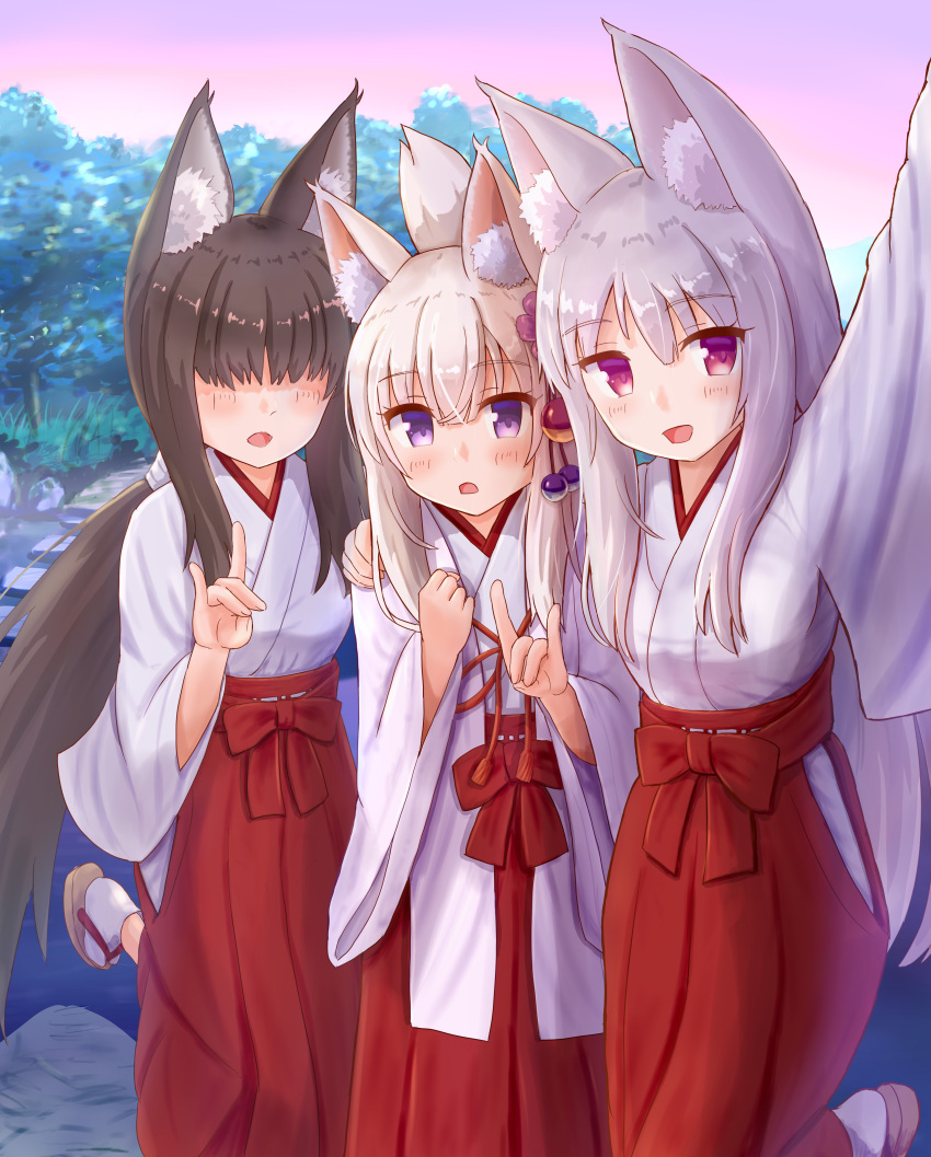 3girls :d absurdres animal_ear_fluff animal_ears arm_up bangs black_hair blush borrowed_character breasts brown_footwear commentary_request eyebrows_visible_through_hair flower folded_ponytail fox_ears fox_girl fox_shadow_puppet fox_tail girl_sandwich hair_between_eyes hair_flower hair_ornament hakama hand_on_another's_shoulder highres iroha_(iroha_matsurika) japanese_clothes kimono long_hair long_sleeves low_ponytail miko multiple_girls open_mouth original ponytail purple_flower red_eyes red_hakama sandwiched self_shot silver_hair small_breasts smile socks standing standing_on_one_leg tabi tail very_long_hair violet_eyes white_kimono white_legwear wide_sleeves zouri