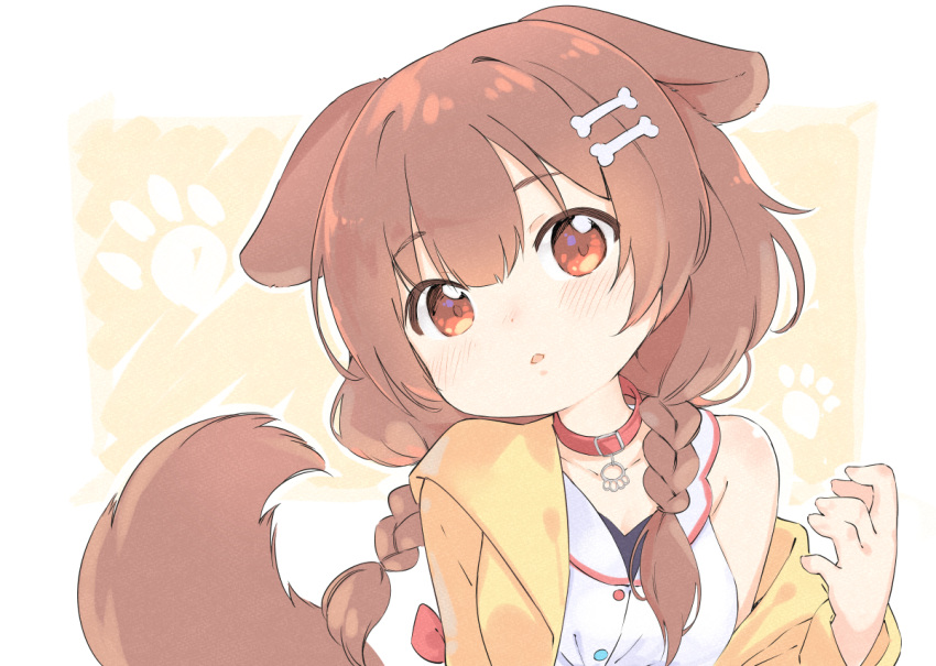 1girl :o animal_ears bangs blush bone_hair_ornament braid brown_hair buckle collar collarbone dog_ears dog_girl dog_tail eyebrows_visible_through_hair garun_wattanawessako hair_ornament head_tilt hololive inugami_korone jacket long_hair long_sleeves looking_at_viewer off_shoulder open_clothes open_jacket parted_lips paw_background red_eyes shirt single_bare_shoulder solo tail twin_braids two-tone_background upper_body virtual_youtuber white_shirt yellow_background yellow_jacket