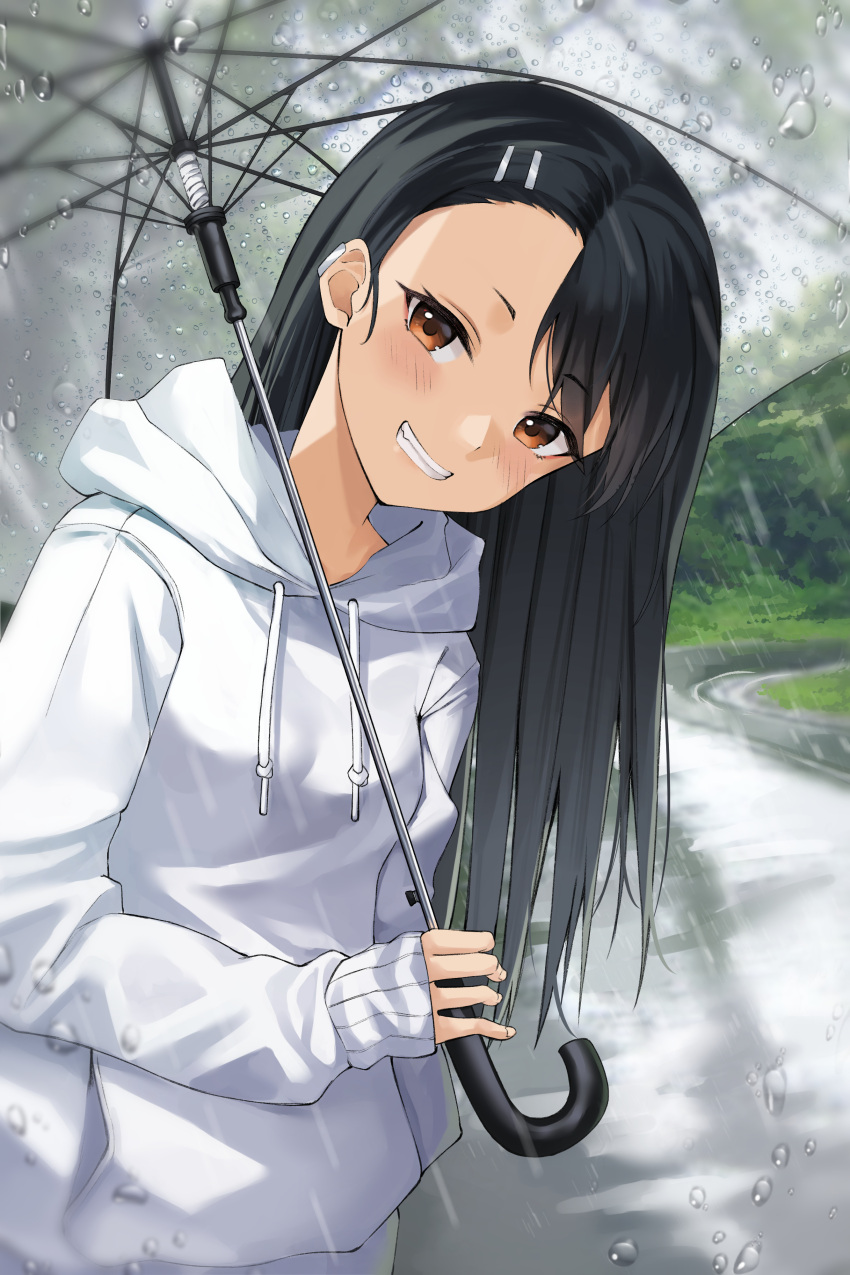 1girl absurdres bangs black_hair blurry blurry_background blush brown_eyes commentary_request cowboy_shot day fang grass grin hair_ornament hairclip highres holding holding_umbrella hood hood_down hoodie ijiranaide_nagatoro-san junkt729 long_hair long_neck long_sleeves looking_at_viewer nagatoro_hayase outdoors rain road sleeves_past_wrists smile solo street transparent transparent_umbrella tree umbrella