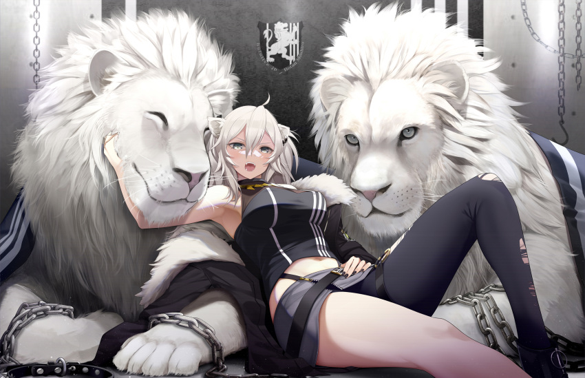 1girl ahoge animal arm_up armpits bare_arms bare_shoulders black_legwear black_nails black_shirt breasts chain crop_top fangs fed_(giba) grey_eyes grey_skirt highleg highres hololive knee_up large_breasts lion long_hair looking_at_viewer midriff miniskirt nail_polish open_mouth reclining shirt shishiro_botan silver_hair single_leg_pantyhose skirt sleeveless sleeveless_shirt solo thighs torn_clothes torn_legwear v-shaped_eyebrows virtual_youtuber