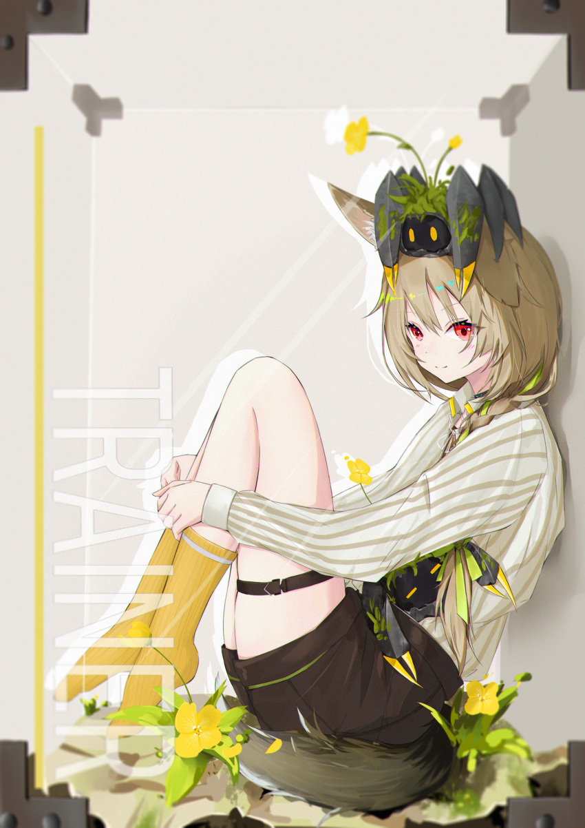 1girl absurdres animal_ears animal_on_head arknights beanstalk_(arknights) black_shorts blush braid brown_hair closed_mouth crab crab_on_head flower from_side full_body green_ribbon hair_over_shoulder hair_ribbon highres kneehighs legs_up long_hair long_sleeves looking_away looking_down on_head red_eyes ribbon shirt shorts shuixi single_braid sitting smile solo striped striped_shirt tail thigh_strap vertical-striped_shirt vertical_stripes white_shirt yellow_flower yellow_legwear