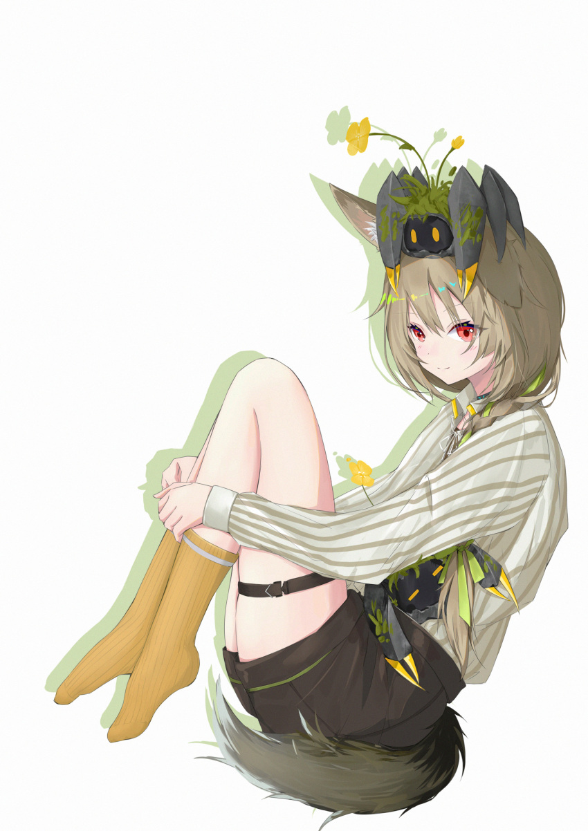 1girl absurdres animal_ears animal_on_head arknights beanstalk_(arknights) black_shorts blush braid brown_hair closed_mouth crab crab_on_head flower from_side full_body green_ribbon hair_over_shoulder hair_ribbon highres kneehighs legs_up long_hair long_sleeves looking_away looking_down on_head red_eyes ribbon shirt shorts shuixi simple_background single_braid sitting smile solo striped striped_shirt tail thigh_strap vertical-striped_shirt vertical_stripes white_background white_shirt yellow_flower yellow_legwear