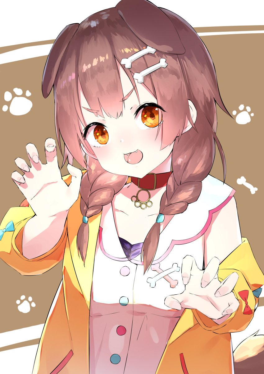 1girl absurdres animal_collar animal_ears blue_bow bone_hair_ornament bow braid brown_eyes brown_hair claw_pose collar commentary_request cotton_kanzaki dog_ears dog_girl dress eyes_visible_through_hair fang hair_between_eyes hair_ornament highres hololive inugami_korone jacket long_hair looking_at_viewer off_shoulder open_mouth red_bow red_collar short_dress smile solo twin_braids upper_body virtual_youtuber white_dress yellow_jacket