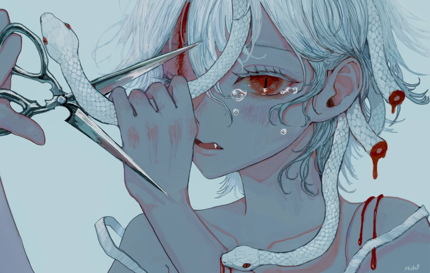 1girl animal biting bleeding blood blood_on_arm blood_on_face blush collarbone crying fangs gorgon grey_background hair_between_eyes highres holding holding_animal holding_scissors injury one_eye_closed open_mouth original red_eyes scissors shida_7 short_hair signature simple_background slit_pupils snake snake_hair solo tears tongue upper_body white_hair white_snake