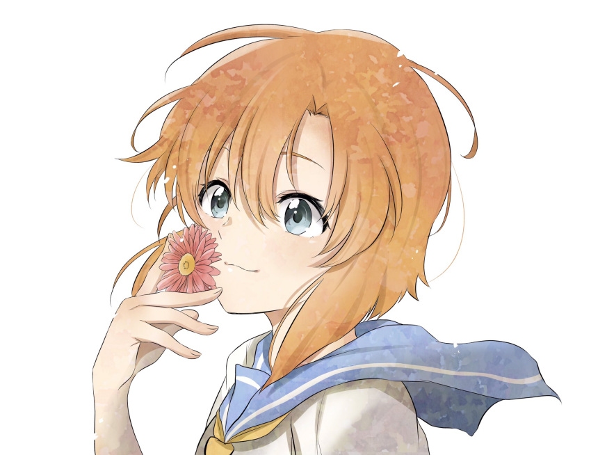 1girl :3 bangs bare_arms blue_eyes blue_sailor_collar commentary daisy flower highres higurashi_no_naku_koro_ni holding holding_flower looking_at_viewer neckerchief orange_hair red_flower ryuuguu_rena sailor_collar shirt short_hair short_sleeves shosudo sidelocks simple_background smile solo white_background white_shirt yellow_neckwear