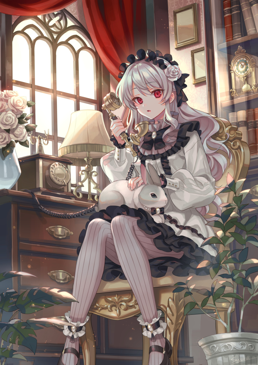 1girl animal_on_lap ankle_cuffs antique_telephone bangs black_bow black_footwear blush book bookshelf bow bowtie breasts chair_tipping clock commentary cupboard curtains dress eyebrows_visible_through_hair flower frilled_dress frills full_body gothic_lolita grey_legwear hair_between_eyes hair_flower hair_ornament hairband highres holding holding_phone indoors lampshade lolita_fashion lolita_hairband long_hair long_sleeves looking_at_viewer mary_janes medium_breasts original pantyhose parted_lips petting phone plant potted_plant rabbit red_eyes rose shoes sidelocks signature silver_hair sitting solo_focus striped striped_legwear vertical-striped_legwear vertical_stripes white_dress white_flower white_rose window zoff_(daria)