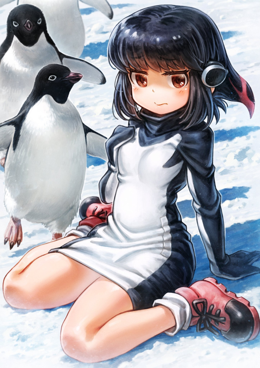 1girl adelie_penguin adelie_penguin_(kemono_friends) bird black_hair black_sweater blush boots commentary_request dress eyebrows_visible_through_hair headphones highres kemono_friends lain long_sleeves penguin pink_footwear red_eyes redhead short_hair sitting snow socks solo sweater sweater_dress turtleneck turtleneck_sweater wariza white_legwear white_sweater