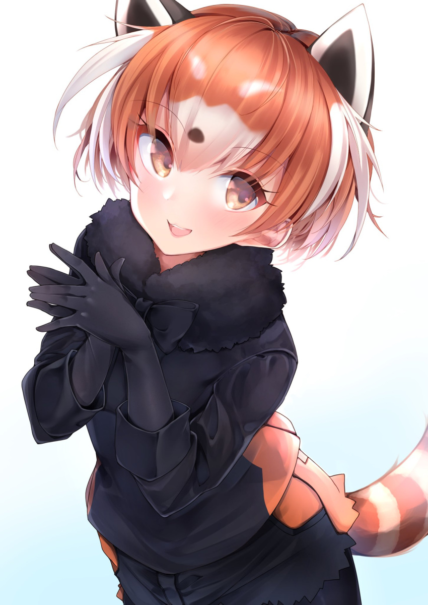 1girl animal_ears bangs black_gloves black_legwear black_neckwear black_shirt black_shorts blue_background bow bowtie extra_ears eyebrows_visible_through_hair fur_collar gloves gradient gradient_background hands_together highres kemono_friends kinou_no_shika legwear_under_shorts lesser_panda_(kemono_friends) long_sleeves looking_at_viewer multicolored_hair open_mouth orange_eyes orange_hair pantyhose red_panda_ears red_panda_tail shirt short_hair short_shorts shorts smile solo standing striped_tail symbol_commentary tail white_hair