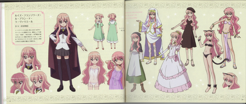 absurdres character_profile character_sheet crease highres huge_filesize louise_francoise_le_blanc_de_la_valliere non-web_source official_art scan scan_artifacts screening webp-to-jpg_conversion zero_no_tsukaima