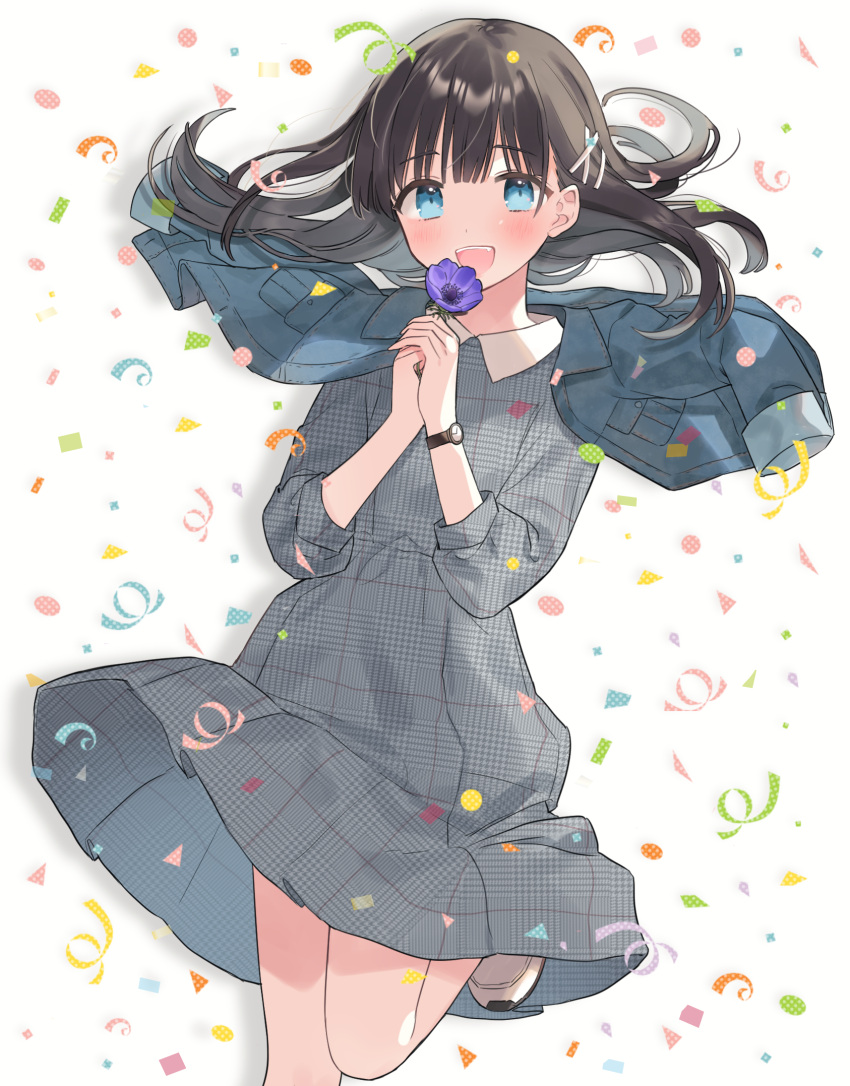 1girl :d anemone_project bangs blue_eyes blunt_bangs brown_hair collared_dress commentary_request confetti dress eyebrows_visible_through_hair flower grey_dress hair_ornament hairclip hands_together hands_up highres holding holding_flower jacket jacket_on_shoulders leg_up long_hair looking_at_viewer manio moroboshi_tsukina open_mouth pocket purple_flower smile solo unmoving_pattern upper_teeth virtual_youtuber watch watch white_footwear x_hair_ornament