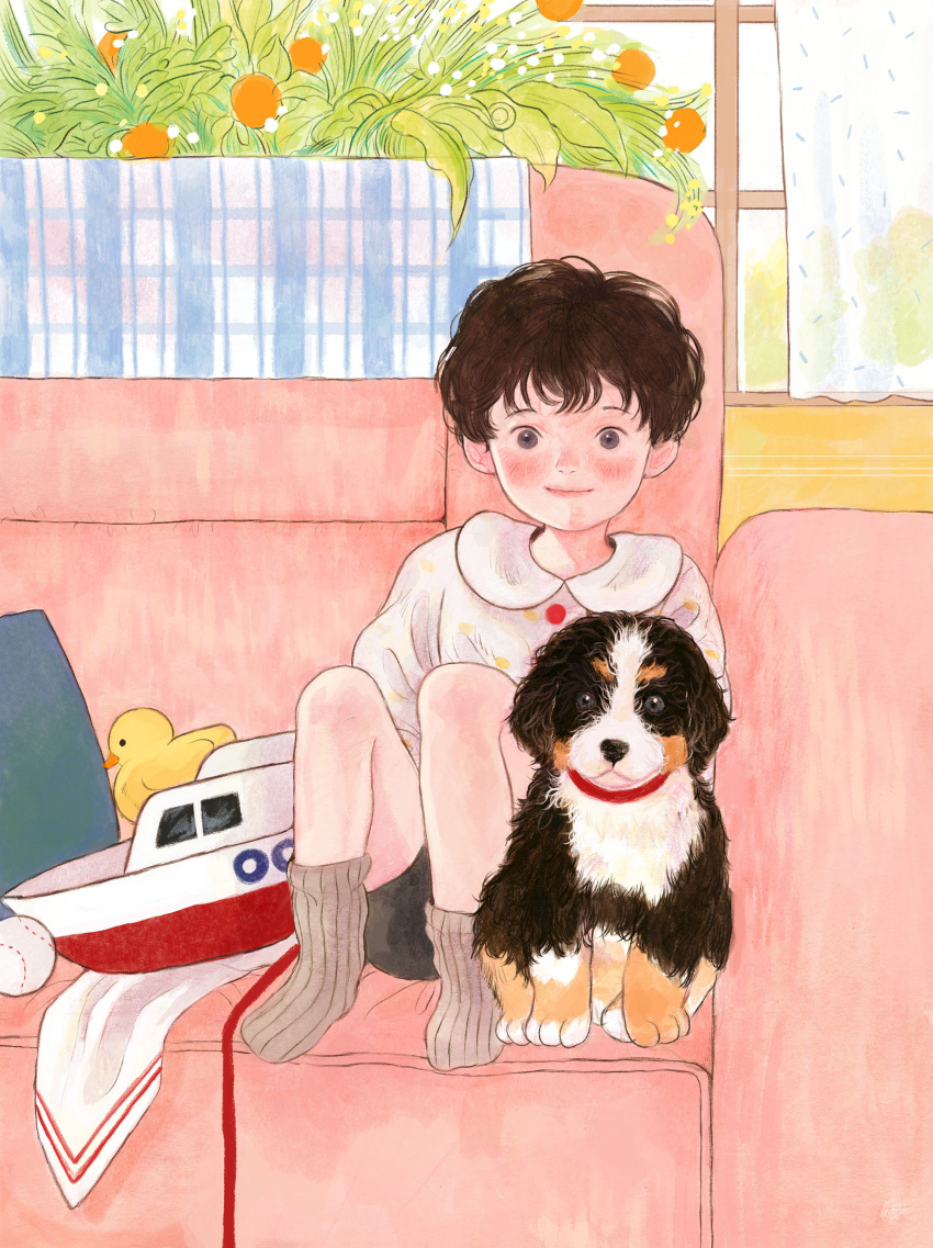 1boy absurdres baseball black_eyes black_hair blush couch curtains dog flower grey_legwear highres indoors knees_up leaf looking_at_viewer orange_flower original plant rubber_duck shirt short_hair smile socks solo white_shirt window yoovora