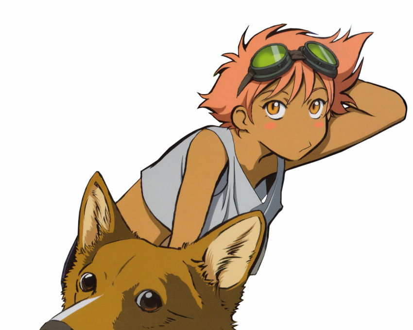 1girl artist_request bike_shorts blush_stickers cowboy_bebop dark_skin dark-skinned_female dog edward_wong_hau_pepelu_tivrusky_iv ein_(cowboy_bebop) flat_chest goggles goggles_on_head short_hair tank_top tomboy transparent_background welsh_corgi