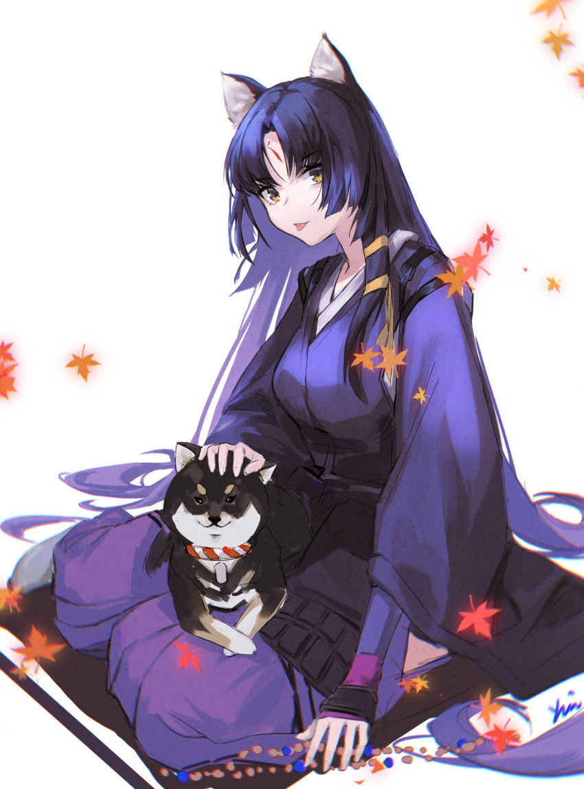 1girl :p absurdres animal animal_ears arknights arm_guards autumn_leaves brown_eyes dog dog_ears dog_girl falling_leaves full_body highres japanese_clothes kimono leaf long_hair long_sleeves looking_at_viewer maple_leaf pants petting puffy_pants purple_hair purple_kimono purple_pants saga_(arknights) signature simple_background sitting smile solo tongue tongue_out very_long_hair white_background wide_sleeves yokozuwari yui_(92935941)