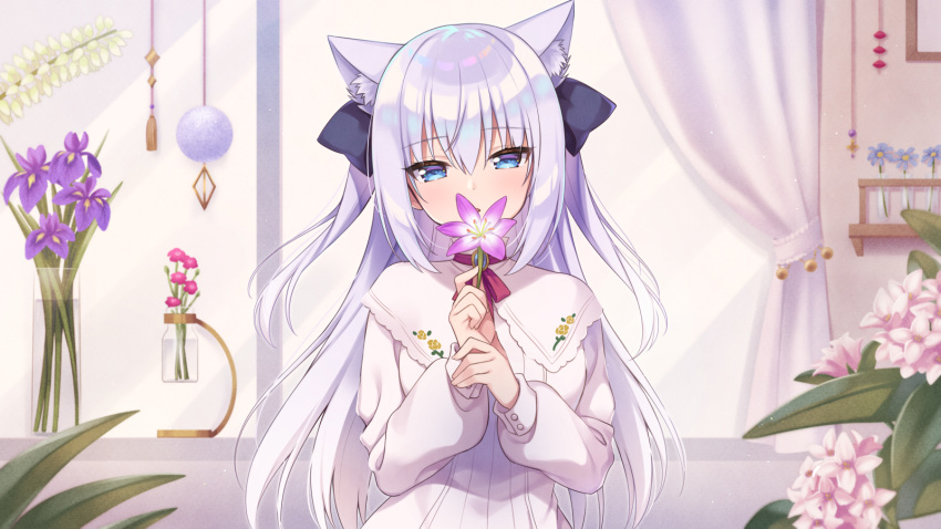 1girl animal_ear_fluff animal_ears bangs black_bow blue_eyes bow capelet commentary_request dress eyebrows_visible_through_hair flower hair_between_eyes hair_bow hands_up highres holding holding_flower long_sleeves looking_at_viewer noripro parted_lips pink_flower puffy_long_sleeves puffy_sleeves purple_flower shirayuki_mishiro silver_hair solo sumisaki_yuzuna two_side_up virtual_youtuber white_capelet white_dress