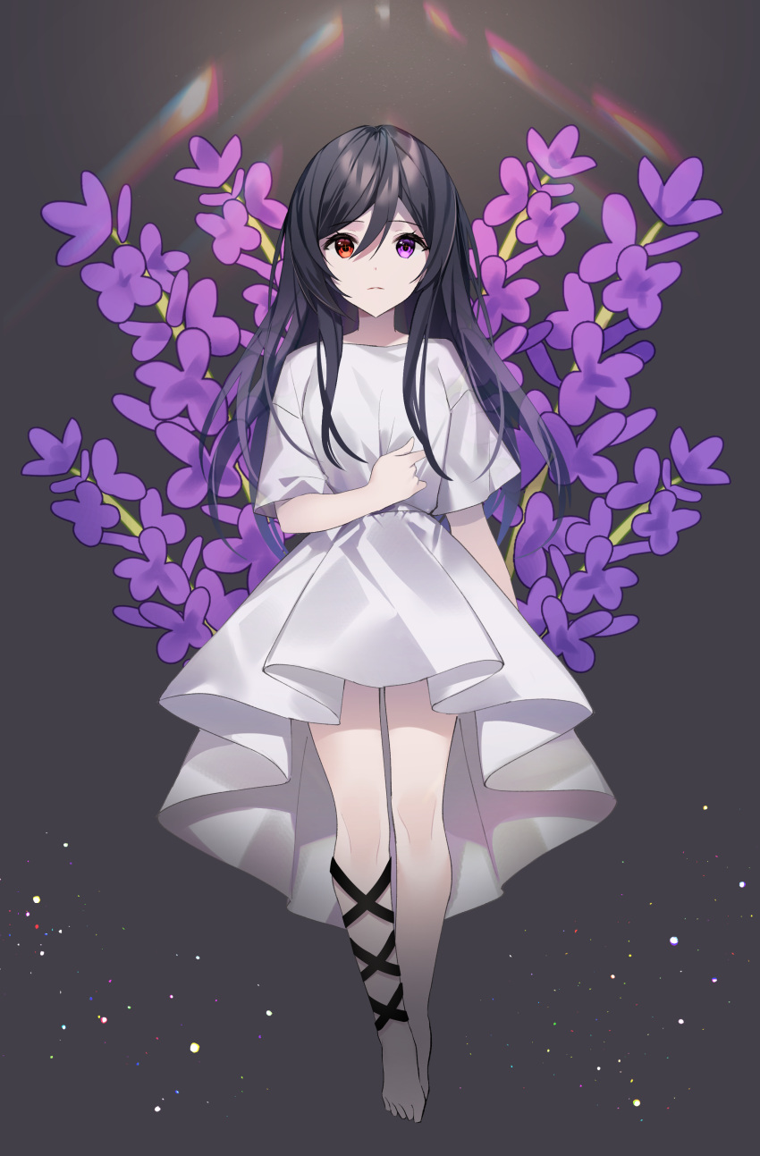 1girl absurdres bangs barefoot black_hair closed_mouth commentary_request dress eyebrows_visible_through_hair floral_background flower frown full_body ghost grey_background hair_between_eyes hand_up heterochromia highres lavender_(flower) long_hair looking_at_viewer original purple_flower short_sleeves solo violet_eyes white_dress yuhi_(hssh_6)