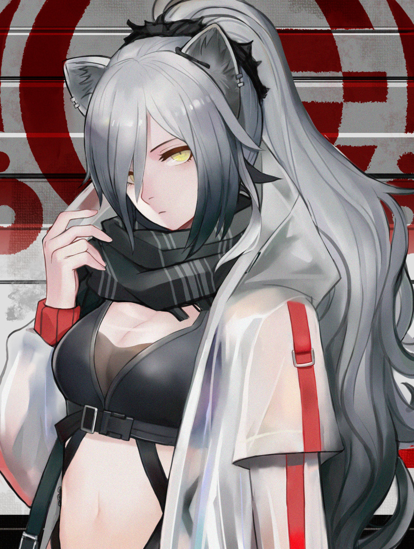 1girl absurdres animal_ears arknights bangs black_scarf breasts cat_ears commentary crop_top hair_over_one_eye hand_up highres ichigatsuai jacket long_hair long_sleeves looking_at_viewer medium_breasts midriff navel open_clothes open_jacket scarf schwarz_(arknights) silver_hair solo stomach upper_body white_jacket yellow_eyes