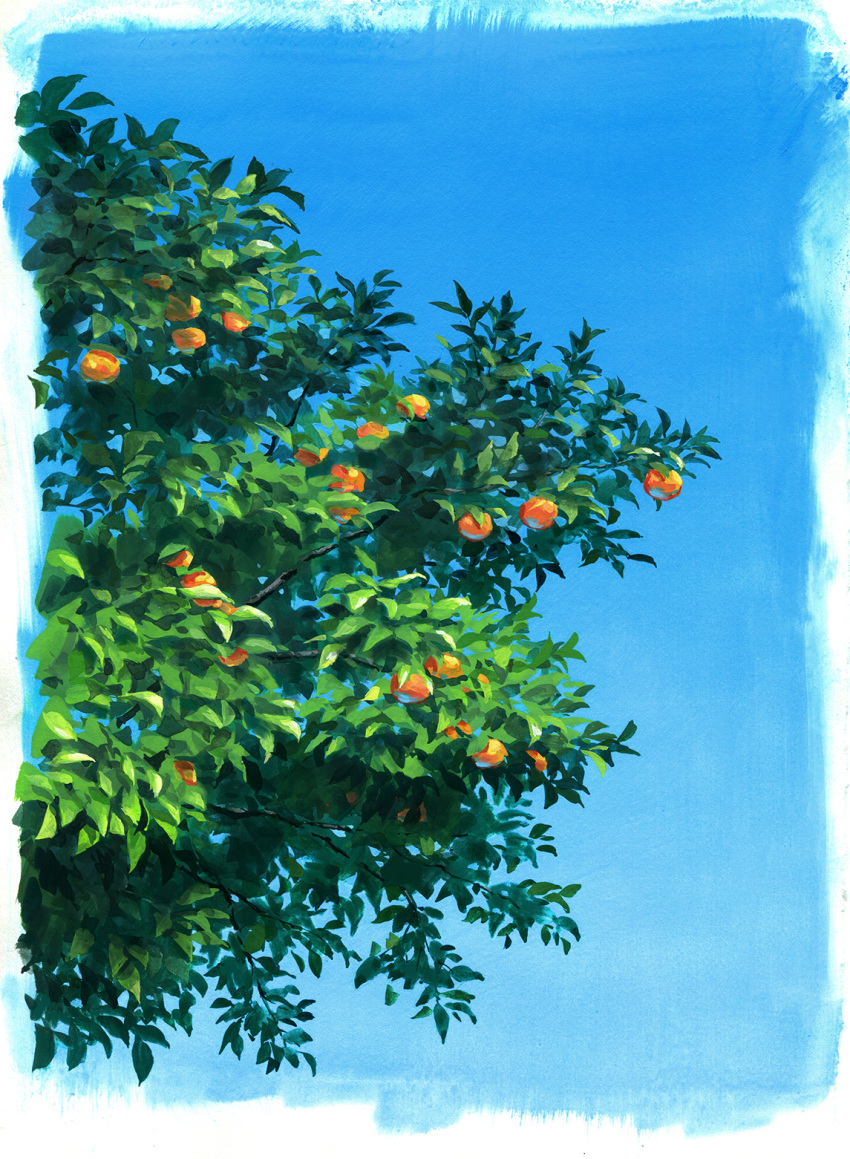 blue_sky border day food fruit highres nature no_humans orange original outdoors sawitou_mizuki scenery sky still_life tree white_border