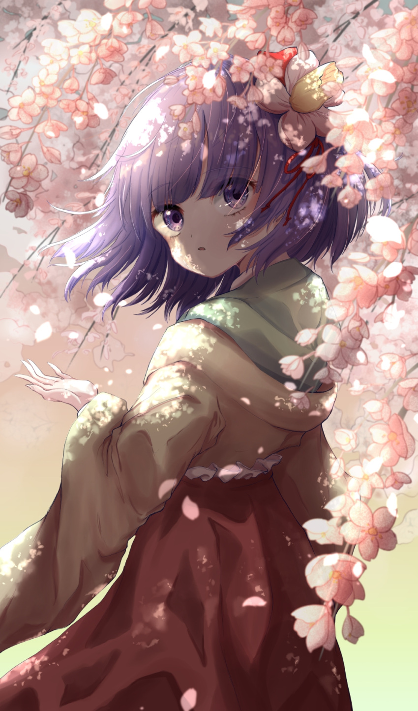 1girl arm_up bangs cherry_blossoms commentary cowboy_shot dappled_sunlight day expressionless eyebrows_visible_through_hair eyes_visible_through_hair flower from_side hair_blowing hair_flower hair_ornament hair_ribbon head_tilt hieda_no_akyuu highres japanese_clothes kayon_(touzoku) kimono layered_clothing layered_kimono long_sleeves looking_at_viewer open_hand outdoors parted_lips purple_hair ribbon short_hair solo standing sunlight touhou tree tree_branch under_tree