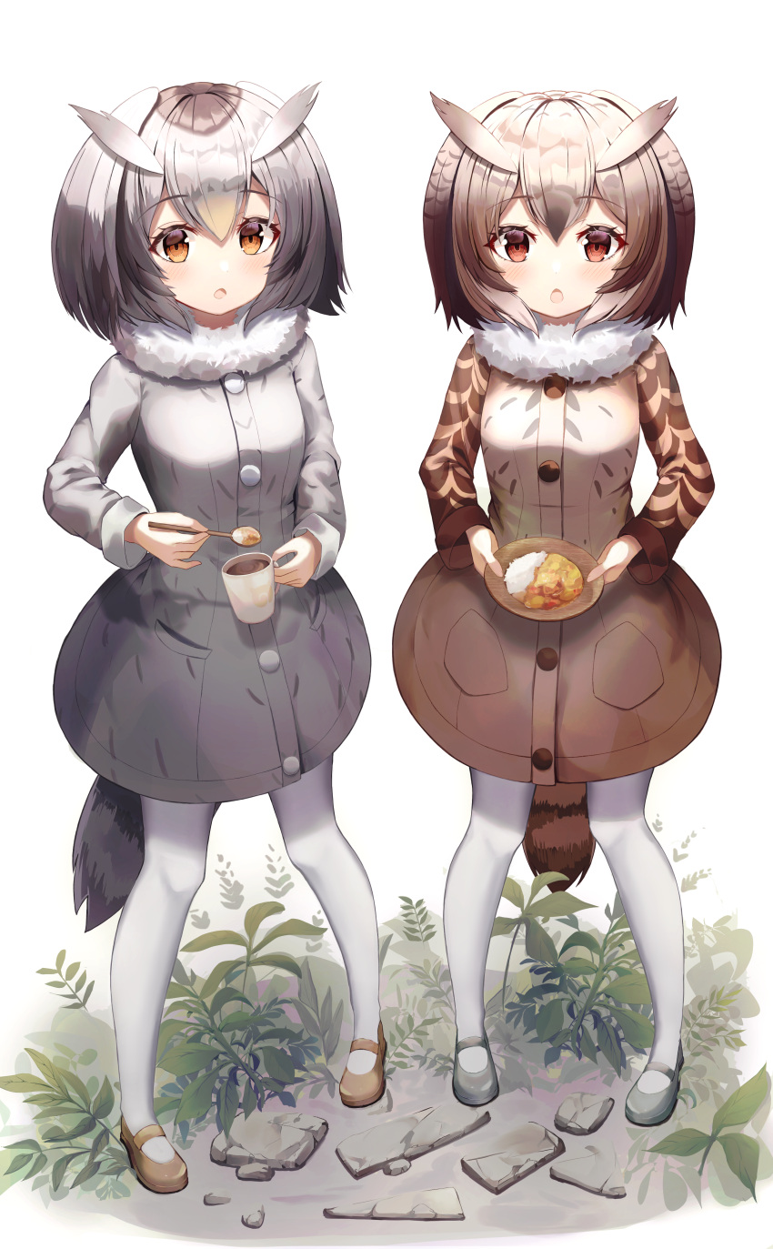 2girls absurdres bitseon black_hair blush brown_eyes brown_hair coat commentary cup curry curry_rice eurasian_eagle_owl_(kemono_friends) eyebrows_visible_through_hair food fur_collar grey_hair hair_between_eyes head_wings highres holding holding_spoon kemono_friends long_sleeves mug multicolored_hair multiple_girls northern_white-faced_owl_(kemono_friends) open_mouth pantyhose plate rice short_hair spoon tail tea white_hair