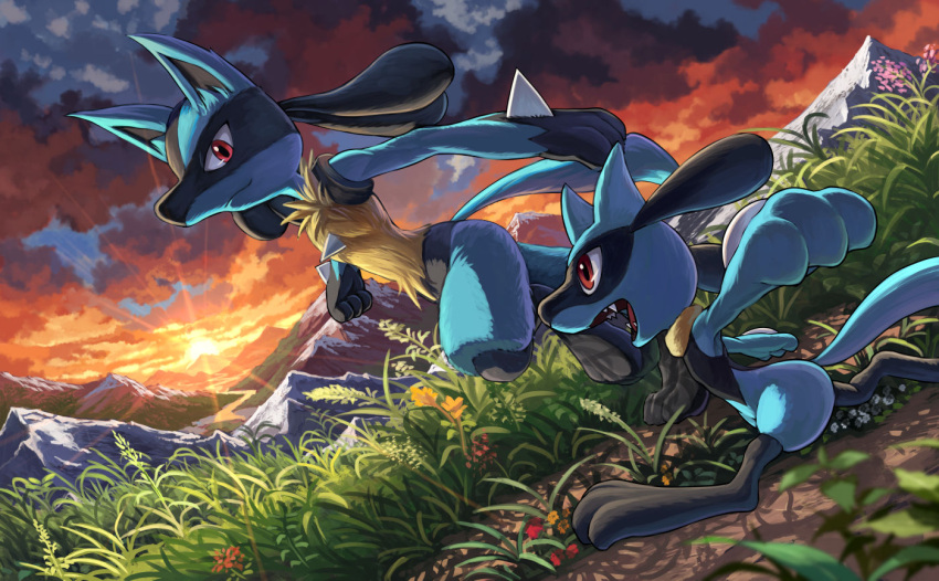 closed_mouth clouds commentary fangs flower gen_4_pokemon grass karamimame lucario outdoors outstretched_arms pokemon pokemon_(creature) red_eyes riolu running sky smile sun twilight yellow_fur