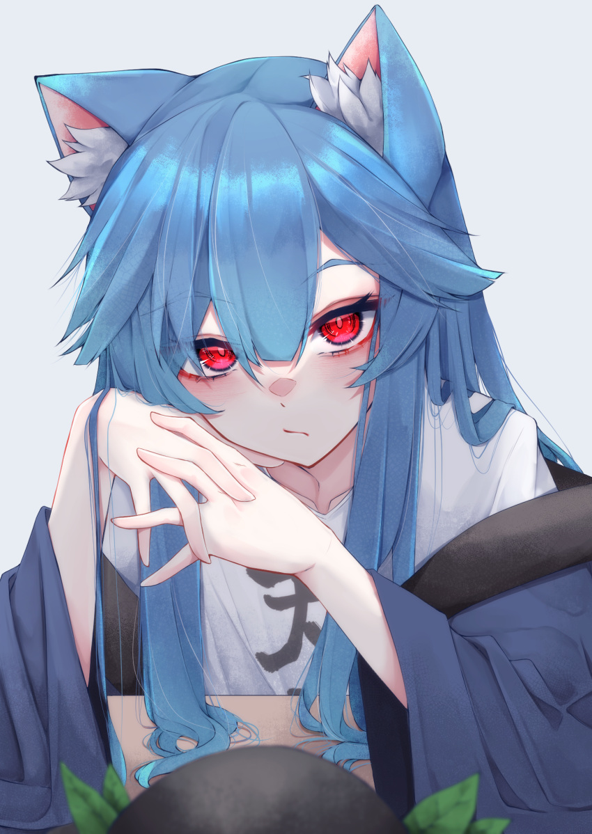 1girl animal_ear_fluff animal_ears black_headwear blue_hair blue_kimono cat_ears expressionless fall_dommmmmer grey_background hat hat_removed headwear_removed highres hinanawi_tenshi japanese_clothes kemonomimi_mode kimono long_hair looking_at_viewer red_eyes shirt sidelocks simple_background solo touhou upper_body white_shirt wide_sleeves