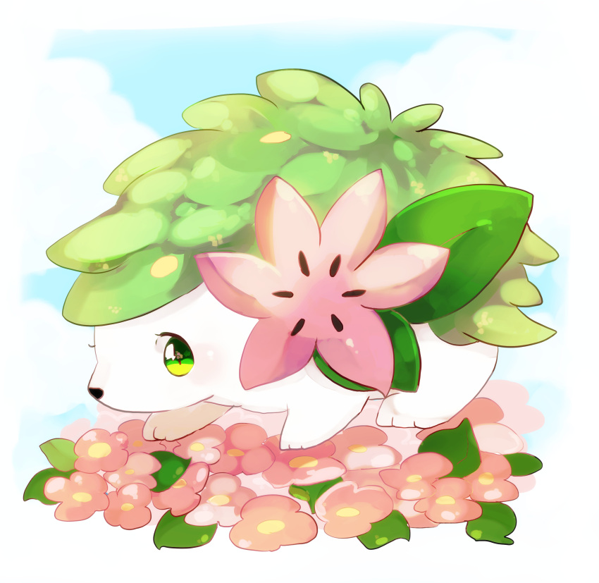 absurdres animal_focus banchiku blue_sky blush border clouds commentary_request day flower from_side full_body gen_4_pokemon green_eyes highres legendary_pokemon light_blush looking_at_viewer mythical_pokemon no_humans outdoors pink_flower pokemon pokemon_(creature) shaymin shaymin_(land) sky solo white_border