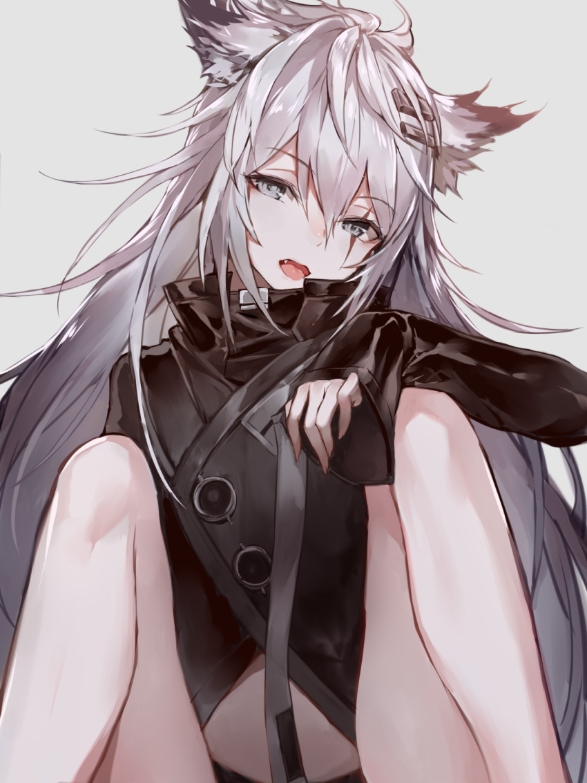 1girl animal_ears arknights bangs black_jacket commentary eyebrows_visible_through_hair fang feet_out_of_frame grey_background grey_eyes hair_between_eyes hair_ornament hairclip head_tilt highres jacket knees_up lappland_(arknights) long_hair long_sleeves looking_at_viewer moff_(dyhc8382) open_mouth silver_hair simple_background sitting solo wolf_ears