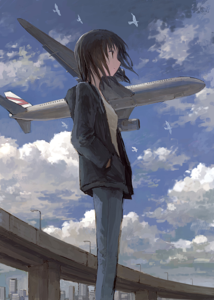 1girl aircraft airplane bird black_eyes black_hair building city cityscape denim feet_out_of_frame hands_in_pockets highres highway hood hood_down hoodie jeans lamppost long_sleeves medium_hair open_clothes open_hoodie original outdoors pants shirt smile solo tokunaga_akimasa white_shirt