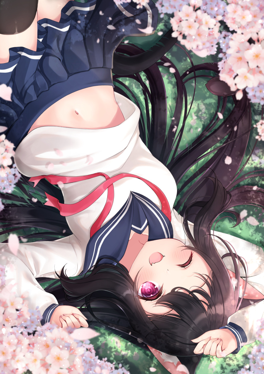 1girl ;d animal_ears arm_up black_hair black_legwear blue_sailor_collar blue_skirt cat_ears cat_girl cat_tail cherry_blossoms commentary_request fang fingernails highres long_hair long_sleeves looking_at_viewer lying midriff_peek mirai_(happy-floral) navel neck_ribbon on_back on_grass one_eye_closed open_mouth original pleated_skirt red_ribbon ribbon sailor_collar school_uniform serafuku shirt shirt_lift skirt sleeves_past_wrists smile solo spring_(season) tail thigh-highs very_long_hair violet_eyes white_shirt