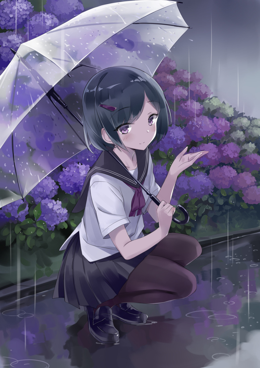 1girl black_footwear black_hair clouds cloudy_sky dark eyebrows_visible_through_hair flower fog hair_ornament hairclip highres holding holding_umbrella hydrangea leaf loafers looking_at_viewer original outdoors pale_skin pantyhose park pleated_skirt puddle purple_flower rain school_uniform serafuku shoes short_hair skirt sky solo squatting transparent transparent_umbrella umbrella usatsuka_eiji violet_eyes