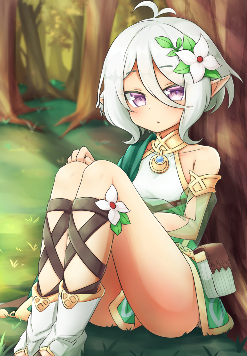 1girl :o against_tree antenna_hair bare_shoulders detached_sleeves feet_out_of_frame flat_chest flower forest grass hair_between_eyes hair_flower hair_ornament highres klaius kokkoro_(princess_connect!) legs_together looking_at_viewer nature parted_lips pointy_ears pouch princess_connect! princess_connect!_re:dive sandals see-through_sleeves sitting solo tree violet_eyes white_flower white_hair