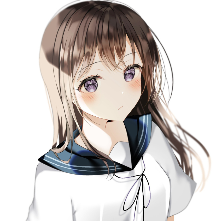 1girl bangs black_sailor_collar blurry blurry_background blush breasts brown_hair closed_mouth dot_nose eyebrows_visible_through_hair eyelashes highres long_hair looking_at_viewer neck_ribbon original purple_neckwear purple_ribbon ribbon sailor_collar school_uniform serafuku shaded_face shiori_(shiori_2_14) shirt short_sleeves sidelocks simple_background small_breasts solo symbol_commentary upper_body violet_eyes white_background white_shirt