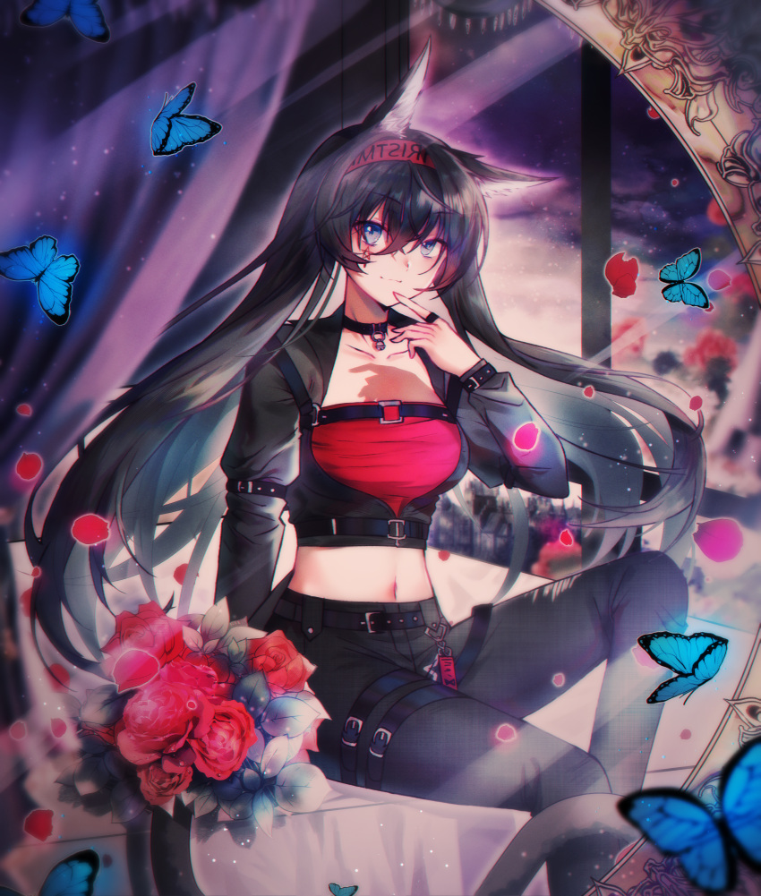 1girl absurdres animal_ears arknights bangs bed belt black_belt black_hair black_pants blaze_(arknights) blue_eyes breasts bug butterfly canopy_bed closed_mouth collar collarbone eyebrows_visible_through_hair floating_hair flower hair_between_eyes highres huge_filesize insect jewelry long_hair looking_at_viewer medium_breasts midriff mirror moonlgnance navel pants red_bandana red_flower red_rose ring rose shadow shiny shiny_hair sitting smile solo stomach tail very_long_hair