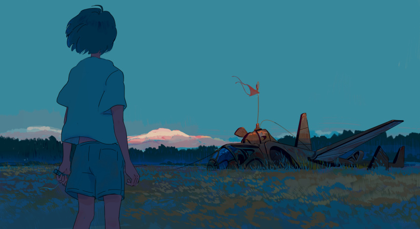 1girl aircraft airplane bangqiao_yan blue_sky facing_away feet_out_of_frame flag from_behind highres original outdoors shirt short_sleeves shorts sky solo twilight white_shirt