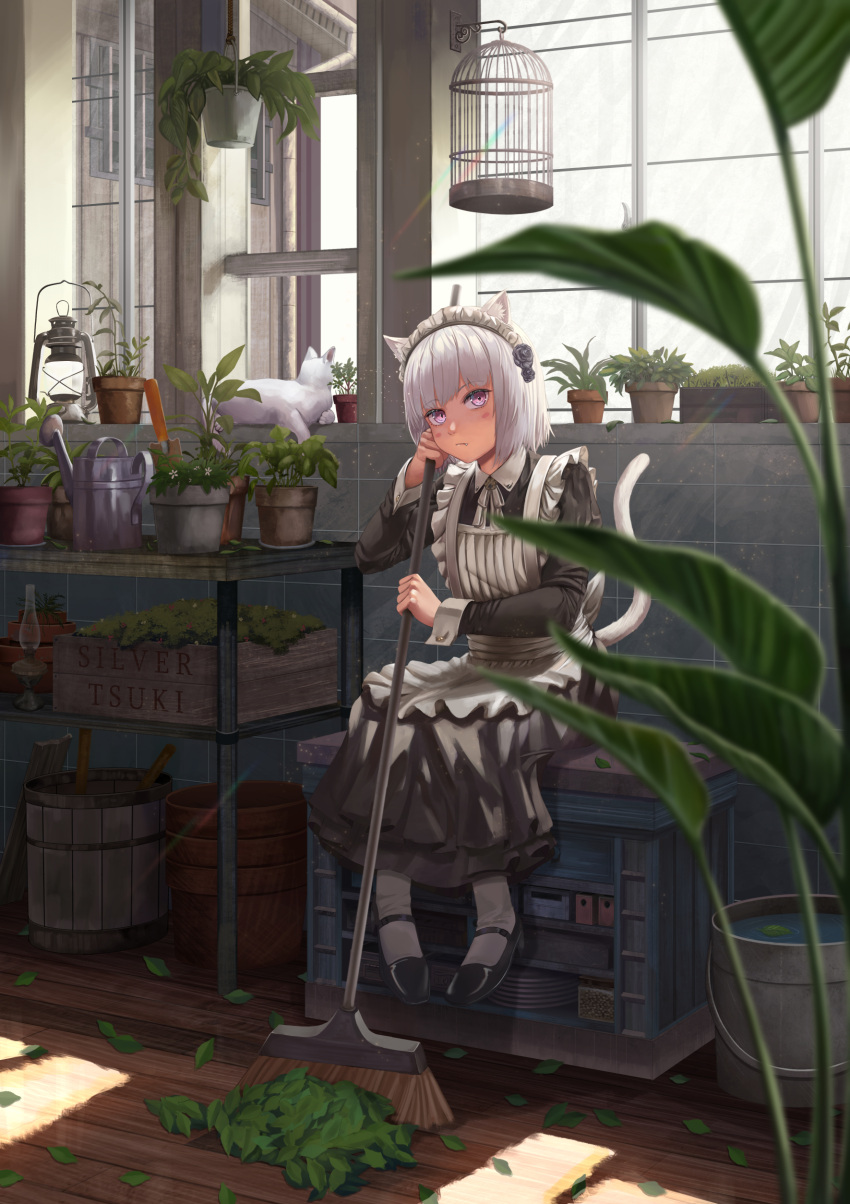 1girl absurdres animal_ears apron blush bob_cut broom cat cat_ears cat_tail cleaning closed_mouth eyebrows_visible_through_hair fang grey_hair highres indoors leaf looking_at_viewer maid maid_apron maid_headdress mary_janes original pink_eyes plaid pout shoes short_hair silvertsuki1 sitting solo tail white_hair white_legwear