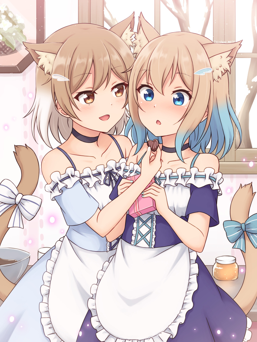 2girls :d :o absurdres animal_ear_fluff animal_ears apron bangs bare_shoulders black_choker blue_bow blue_eyes blue_hair bow box brown_eyes candy cat_ears cat_girl cat_tail chocolate chocolate_heart choker collarbone commentary_request extra_ears eyebrows_visible_through_hair food frilled_apron frills gradient_hair hair_ornament hairclip heart highres holding holding_box indoors light_brown_hair multicolored_hair multiple_girls open_mouth original shiraha_maru short_hair short_sleeves smile striped striped_bow tail tail_bow tail_ornament twitter_username valentine waist_apron white_bow white_hair window yuri