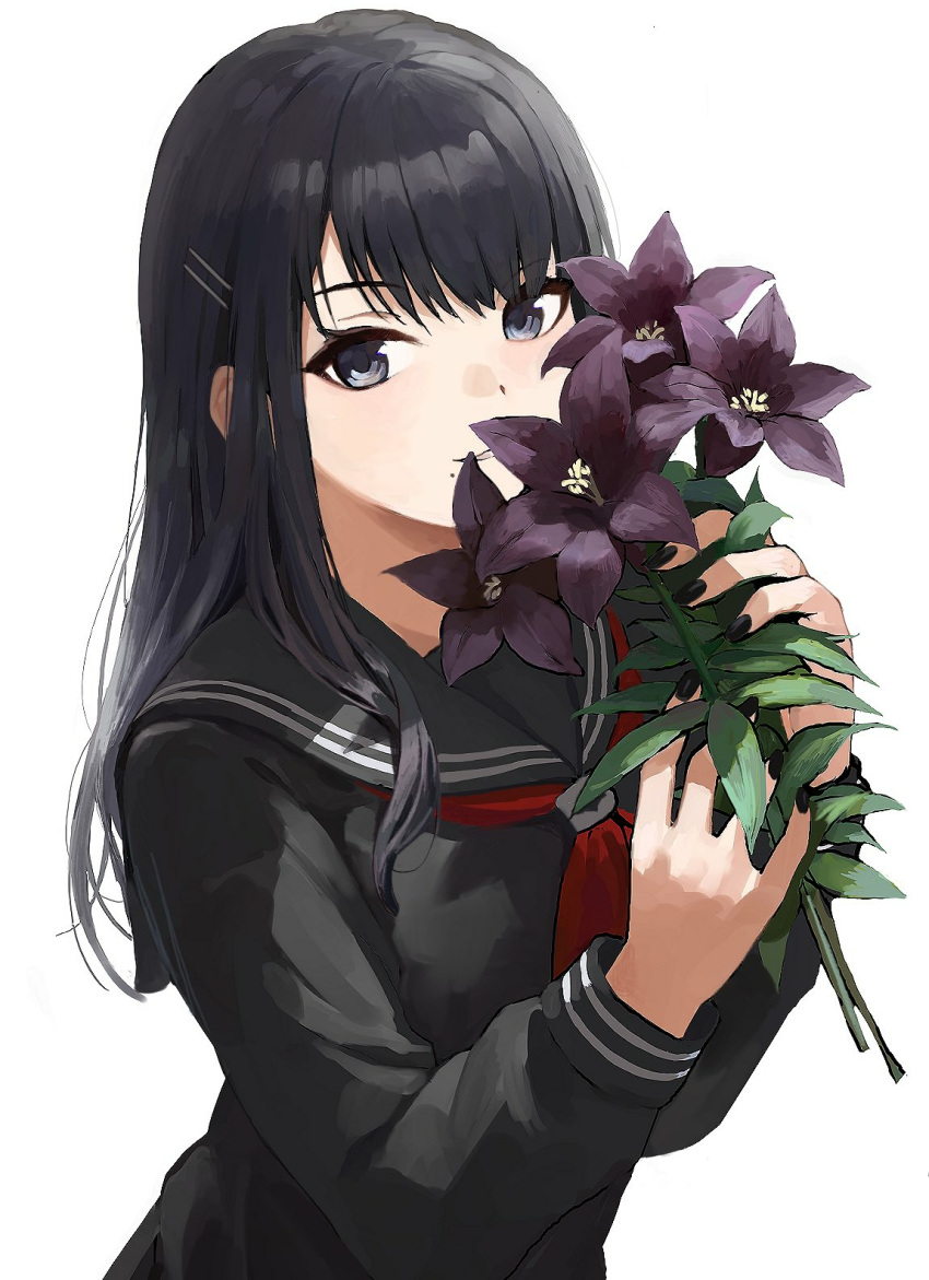 1girl bangs black_hair black_sailor_collar black_serafuku black_shirt black_skirt eyebrows_visible_through_hair flower grey_eyes hair_ornament hairclip highres holding holding_flower idolmaster idolmaster_shiny_colors kazano_hiori long_hair long_sleeves looking_at_viewer mole mole_under_mouth neckerchief parted_lips purple_flower red_neckwear sailor_collar school_uniform serafuku shirt simple_background skirt smile solo suketoudara_(artist) upper_body white_background