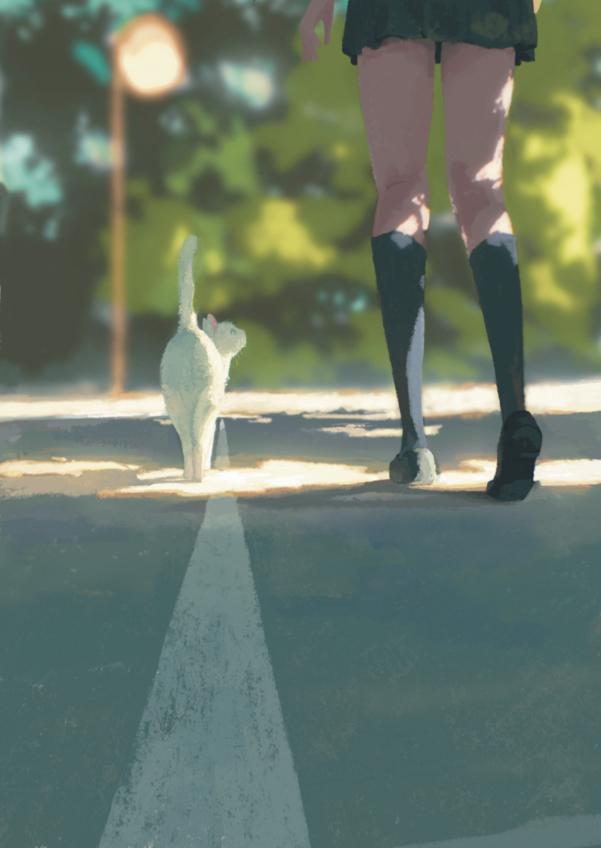 1girl absurdres animal_focus blurry blurry_background cat highres legs original outdoors pleated_skirt road saisho_(qpoujr) scenery shoes skirt socks tree white_cat