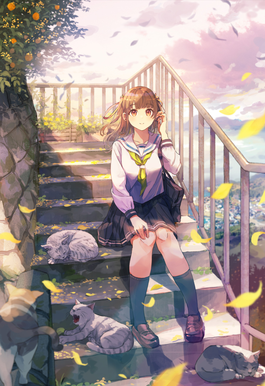 1girl absurdres akira_(mr_akira) bag black_legwear blue_skirt brown_eyes brown_hair cat cityscape flower highres legs loafers long_sleeves looking_at_viewer medium_hair original outdoors plant pleated_skirt scenery school_bag school_uniform serafuku shirt shoes sitting skirt sky socks solo uniform white_shirt