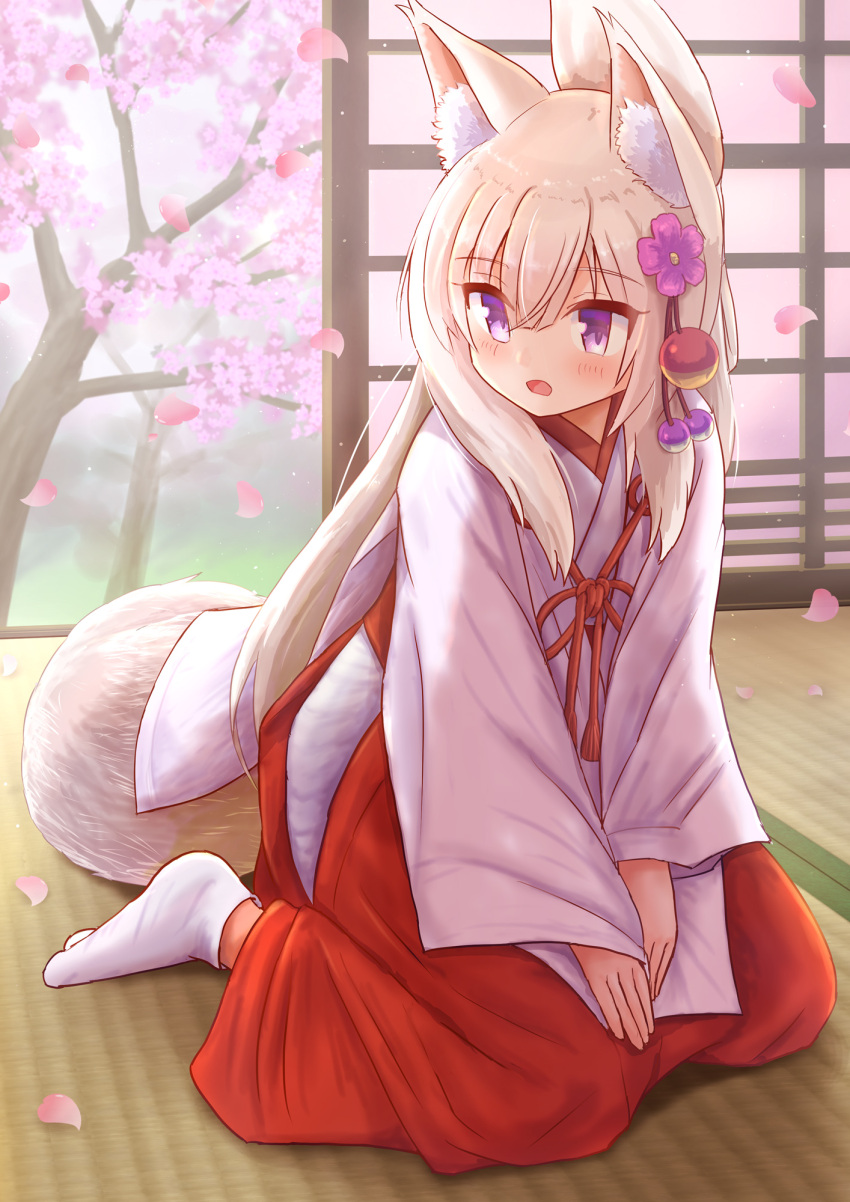 1girl animal_ear_fluff animal_ears bangs blush cherry_blossoms commentary_request eyebrows_visible_through_hair flower folded_ponytail fox_ears fox_girl fox_tail hair_between_eyes hair_flower hair_ornament hakama highres indoors iroha_(iroha_matsurika) japanese_clothes kimono koyoi_(iroha_(iroha_matsurika)) long_hair long_sleeves looking_away looking_to_the_side miko no_shoes open_mouth original petals pink_flower purple_flower red_hakama sitting sleeves_past_wrists socks solo tabi tail tree very_long_hair violet_eyes wariza white_hair white_kimono white_legwear wide_sleeves