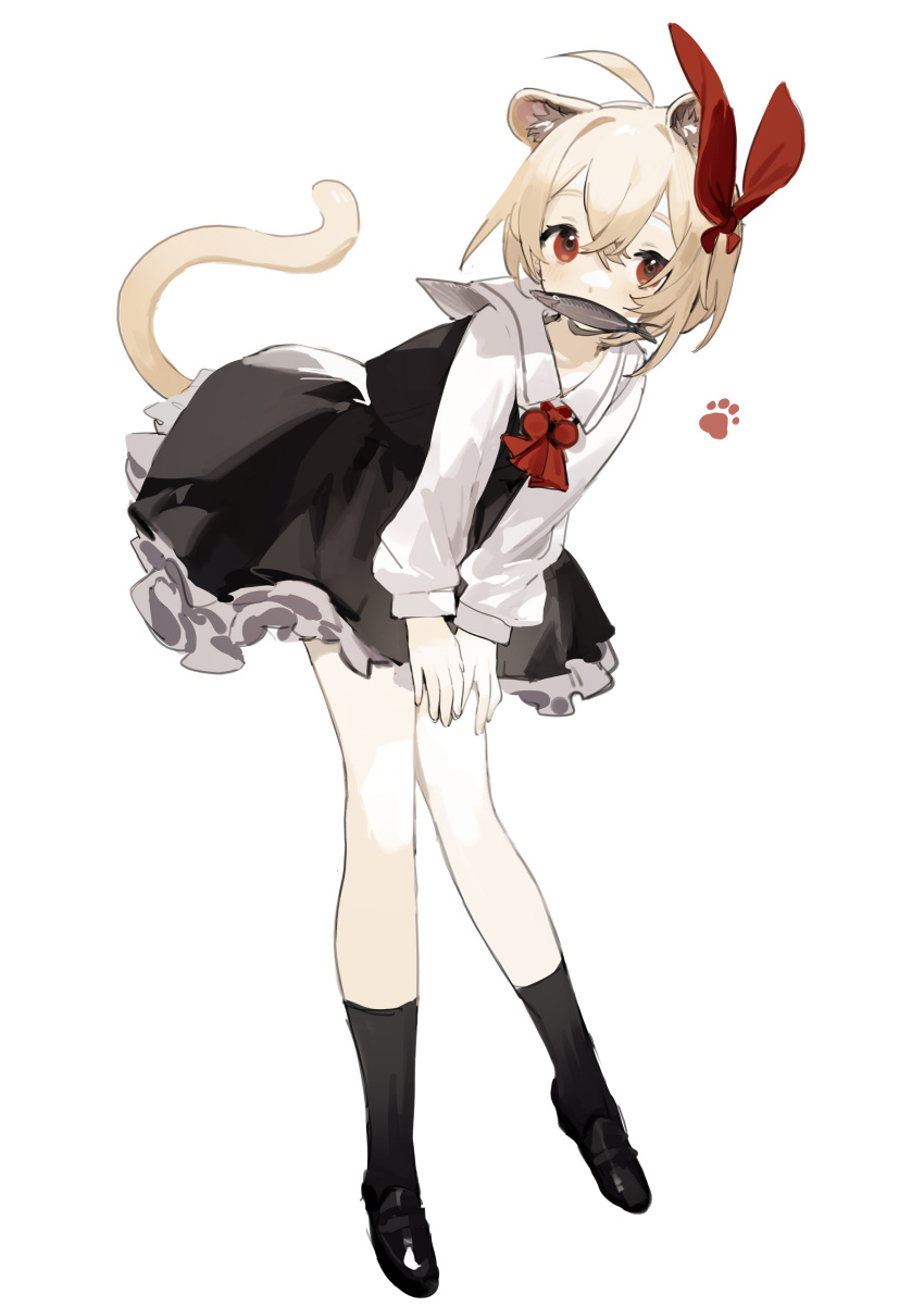 1girl absurdres animal_ear_fluff animal_ears bangs black_dress black_footwear black_legwear blonde_hair bow cat_ears cat_girl cat_tail collared_shirt commentary dress eyebrows_visible_through_hair fish food_in_mouth frilled_dress frills full_body hair_between_eyes highres kemonomimi_mode leaning_forward loafers long_sleeves looking_at_viewer mouth_hold red_bow red_eyes rumia sh_(562835932) shirt shoes simple_background socks solo standing tail touhou white_background white_shirt