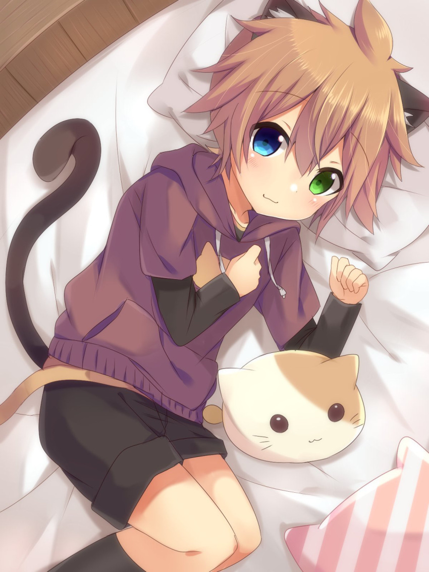 1boy animal_ears cat_boy cat_ears cat_pillow cat_tail eyebrows_visible_through_hair hair_between_eyes highres hood hoodie male_focus on_bed shorts solo tail