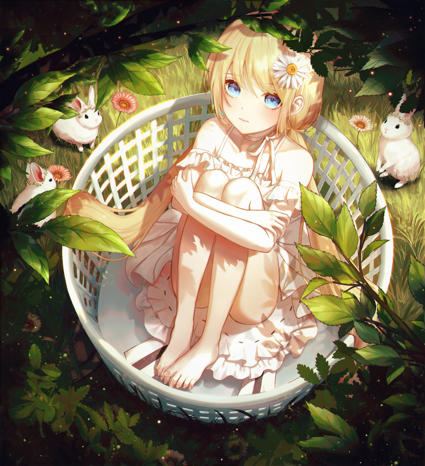 1girl appble bangs barefoot blonde_hair blue_eyes blush choker closed_mouth collarbone daisy detached_sleeves dress eyebrows_visible_through_hair flower from_above full_body hair_between_eyes hair_flower hair_ornament highres leg_hug long_hair original ribbon ribbon_choker short_dress short_sleeves sitting sleeveless sleeveless_dress solo sundress very_long_hair white_dress white_flower white_ribbon white_sleeves