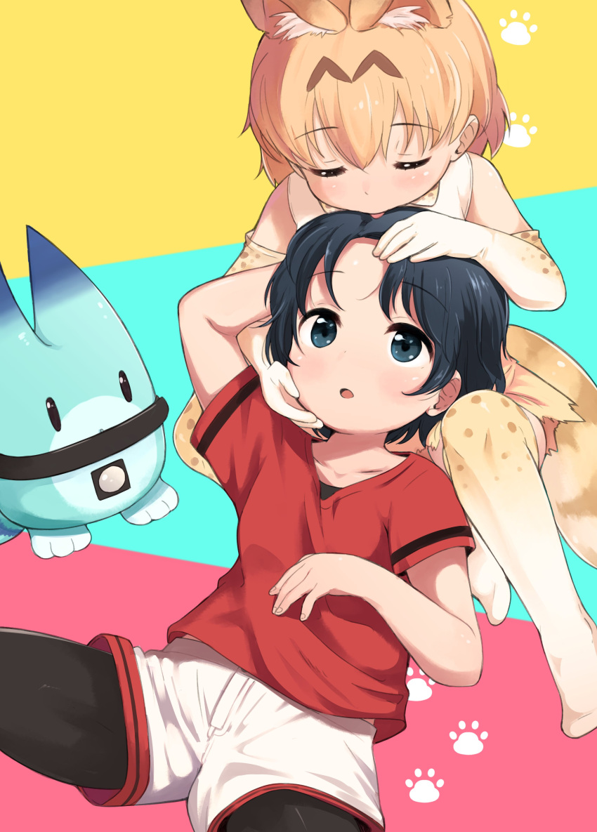 2girls absurdres animal_ears aqua_background black_hair black_legwear cat_day closed_eyes collarbone elbow_gloves extra_ears eyebrows_visible_through_hair gloves hand_on_another's_face hand_on_another's_head highres kaban_(kemono_friends) kemono_friends legwear_under_shorts licking licking_hair lucky_beast_(kemono_friends) multicolored multicolored_background multiple_girls nekopantsu_(blt) no_shoes open_mouth orange_hair pantyhose pink_background print_gloves print_legwear red_shirt serval_(kemono_friends) serval_ears serval_print serval_tail shirt short_hair shorts sleeveless sleeveless_shirt tail thigh-highs tongue tongue_out white_background white_shirt white_shorts yellow_background yuri zettai_ryouiki