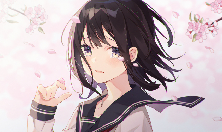 1girl bangs black_hair black_sailor_collar blush cherry_blossoms commentary_request eyebrows_visible_through_hair flower hand_up highres long_sleeves looking_at_viewer minasenagi original parted_lips petals pink_flower sailor_collar school_uniform serafuku shirt sleeves_past_wrists smile solo tears upper_body violet_eyes white_shirt