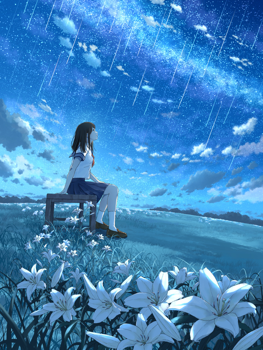 1girl absurdres anyotete bangs bench black_hair blue_sailor_collar blue_skirt brown_footwear clouds commentary_request field flower grass highres lily_(flower) loafers medium_hair meteor meteor_shower milky_way night night_sky original sailor_collar scenery school_uniform serafuku shirt shoes short_sleeves sitting skirt sky socks solo star_(sky) starry_sky uniform white_flower white_legwear white_shirt