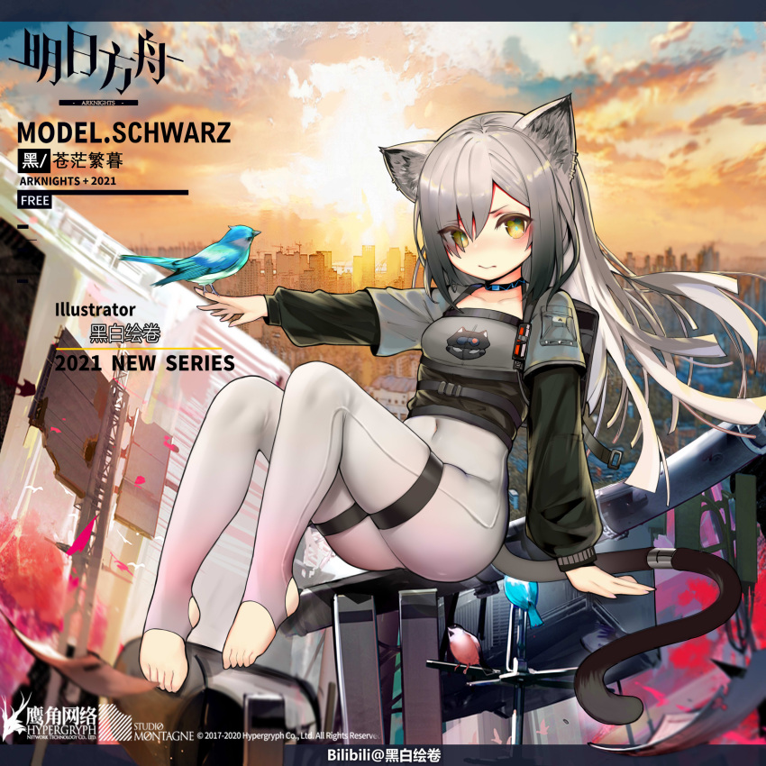 1girl absurdres animal_ears arknights arm_support bangs bird blush cat_ears character_name chinese_commentary city commentary_request copyright_name covered_navel eyebrows_visible_through_hair eyes_visible_through_hair grey_jacket highres jacket kuroshiroemaki long_hair long_sleeves looking_at_viewer official_alternate_costume outdoors pantyhose partial_commentary schwarz_(arknights) schwarz_(skyline)_(arknights) silver_hair sitting solo thigh_strap thighs toeless_legwear very_long_hair white_legwear yellow_eyes younger